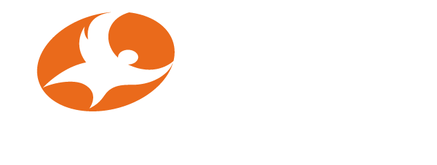 Phoenix Fly